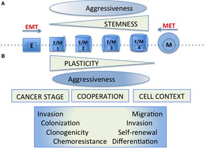 Senescence-Associated Pro-inflammatory Cytokines and Tumor Cell Plasticity